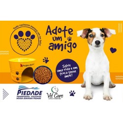 Campanha: adote um cão da raça “Amor”!